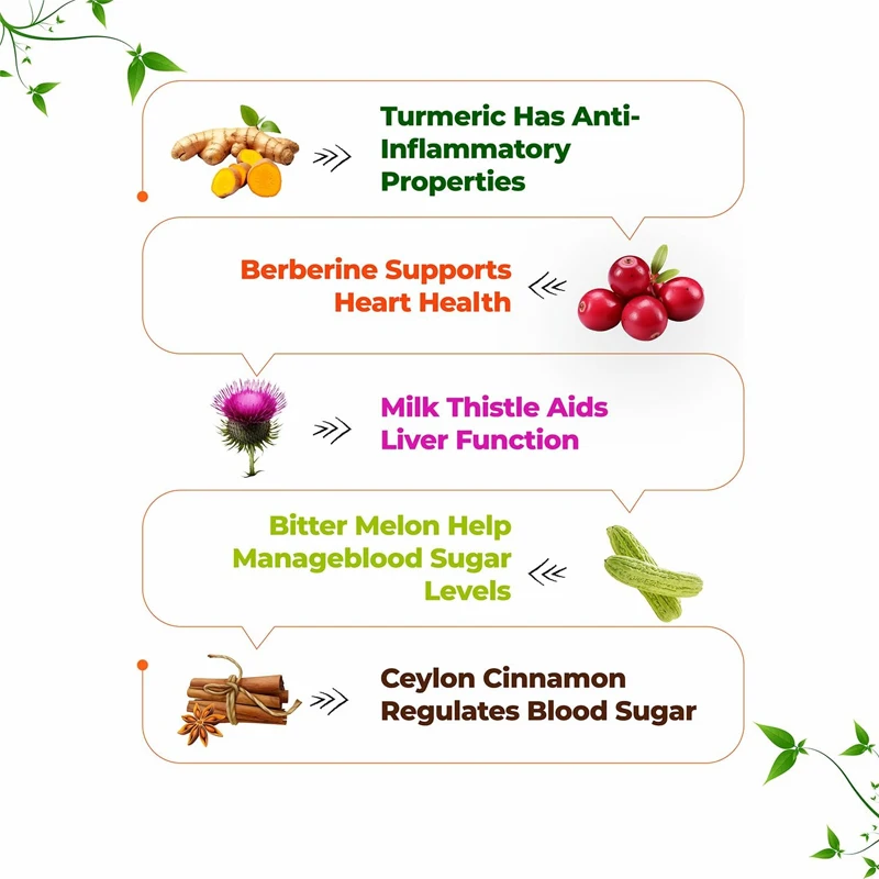 Berberine supplements contain Ceylon cinnamon, milk thistle, turmeric, bitter melon complex, immune support, vegan, non GMO