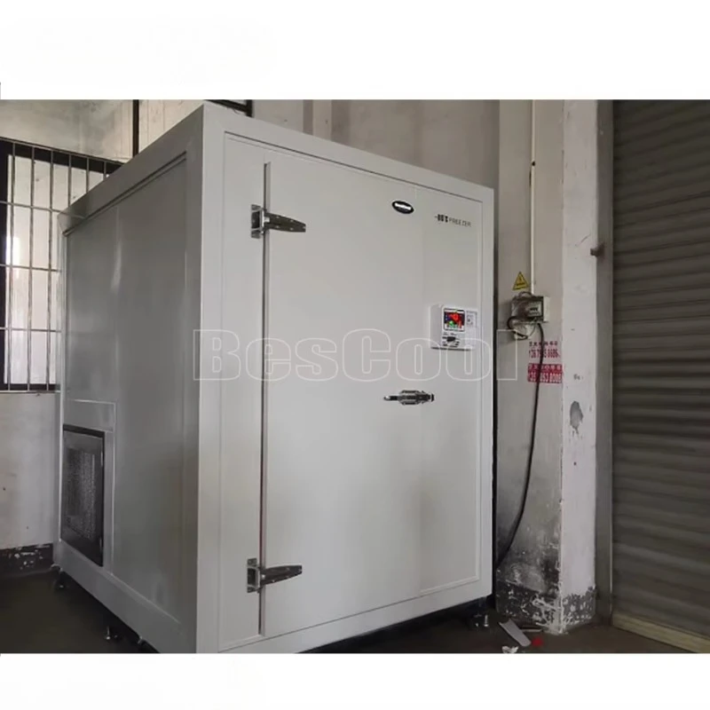 

Индивидуальный малогабаритный контейнер для холодного хранения (-80°C) напрямую от производителя ° Холодильная камера для мороженых арктических креветок для магазина морепродуктов