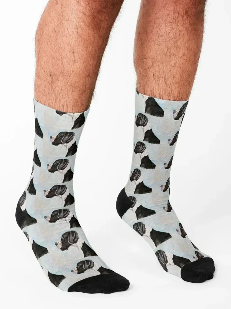 Calzini Great Dane hiphop Rugby Crossfit Calzini da donna da uomo