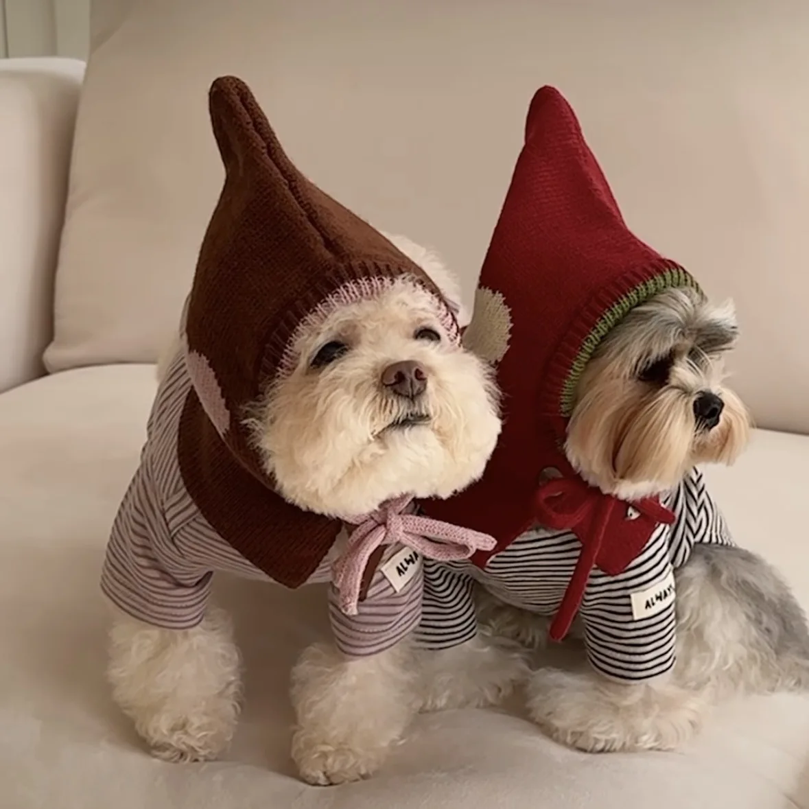 Pet Warmth Hoodie Knitted Wool Hat Autumn and Winter Cute Cat Dog Small Dog Decoration Dogs Accessoires
