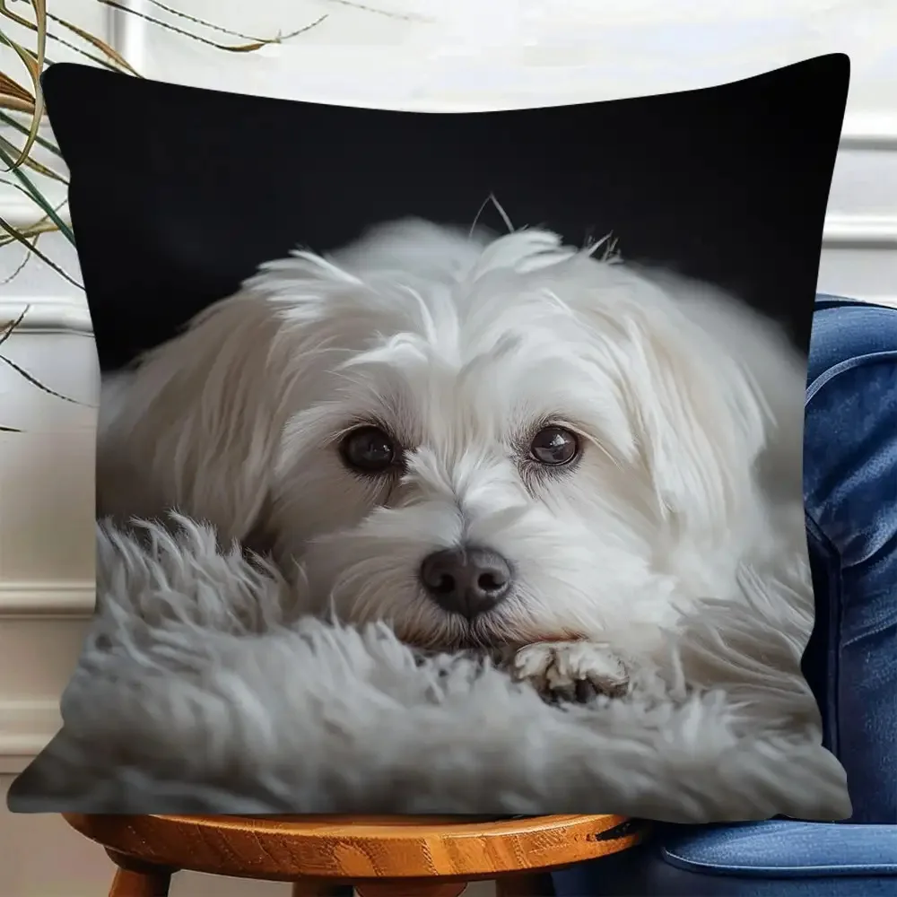 Maltese Dog Pillow Cover Realistic White Puppy Face Cushion Case Polyester Zipper  Square Living Room Bedroom Pet Decor