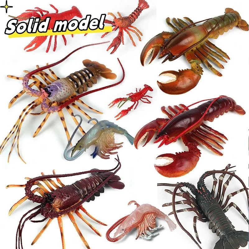 Simulation Marine Animal Australian Boston Lobster Crayfish Growth Cycle Action Figures Shrimp Figurines Educational Toy For Kid