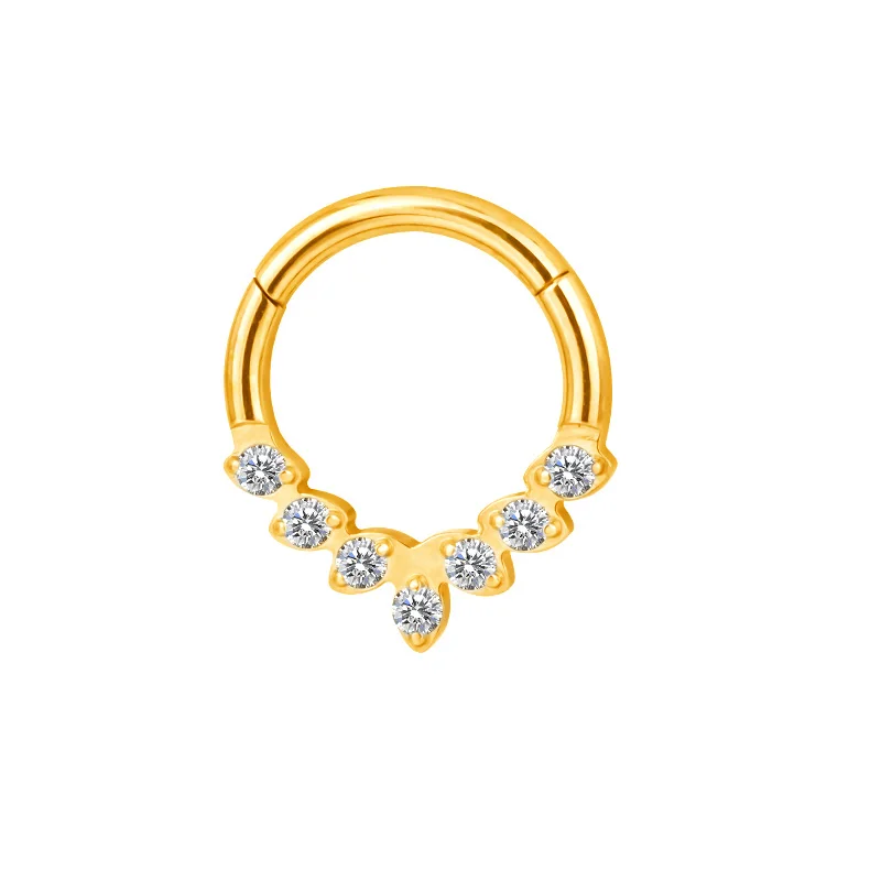Titanium CZ Ring Hoop Nose Rings