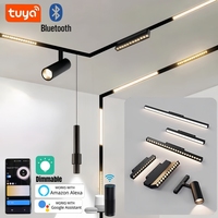 Recessed Tuya LED Magnetic Track Light 48V Smart Dimmable Bluetooth Ceiling Spotlights APP Control Linear Rail Lighting System