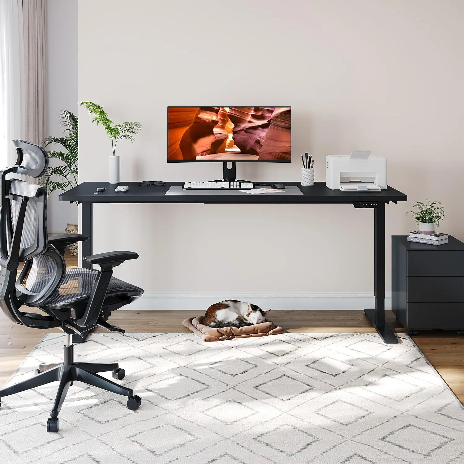 Dual Motor Standing Desk 79