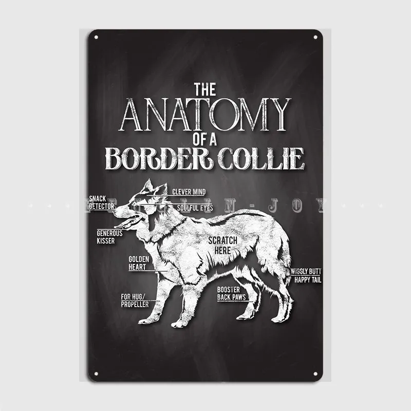 Border Collie Anatomy Metal Plaque Poster Wall Wall Decor Club Party Retro Tin Sign Poster