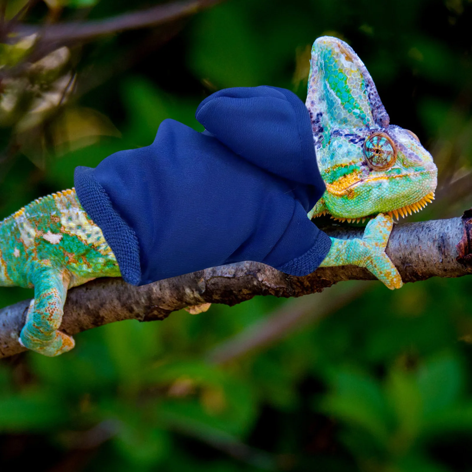 

Leopard Gecko Cotton Skin Protection Costume Party Hoodie Reptile Apparel Special Occasion Pet Clothing Bearded Dragon Jacket