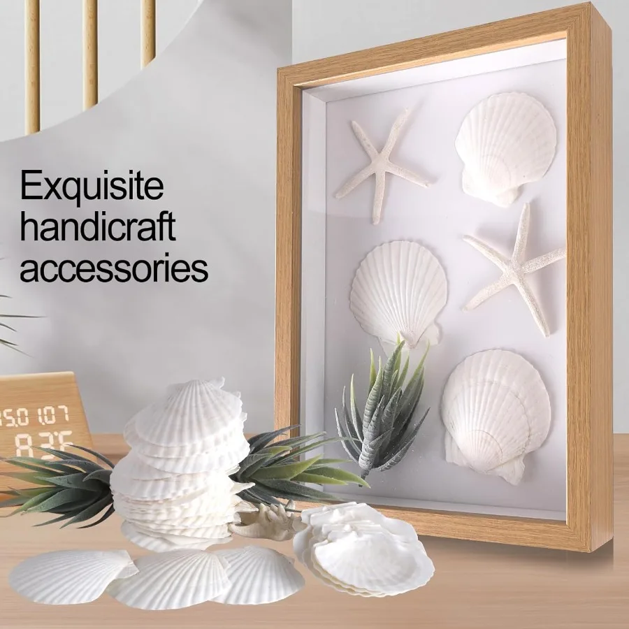 10 PCS 4-5 Inch Natural White Large Scallop Shells Sea Shells for DIY Craft Home Décor