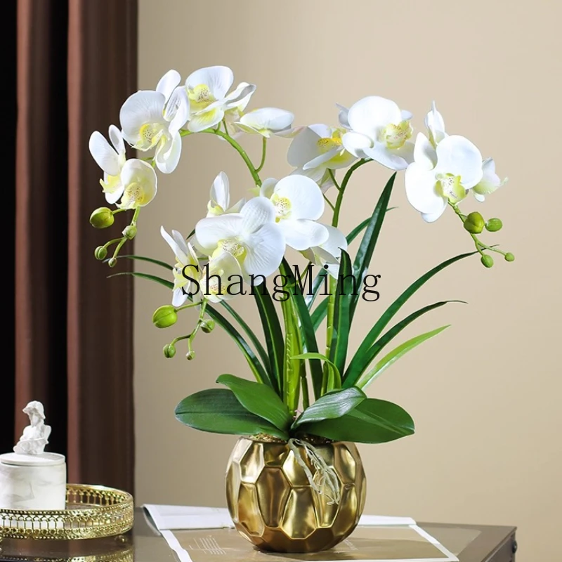 Dhy Simulated Phala…