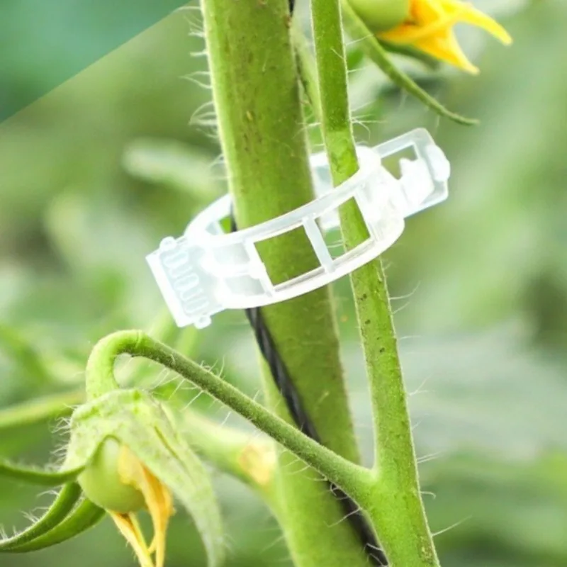 Reusable Plant Support Clips Flower Plant Stem Climbing Clip Grape Cucumbers Tomato Vines Fixing Buckles Ring Garden Supplies