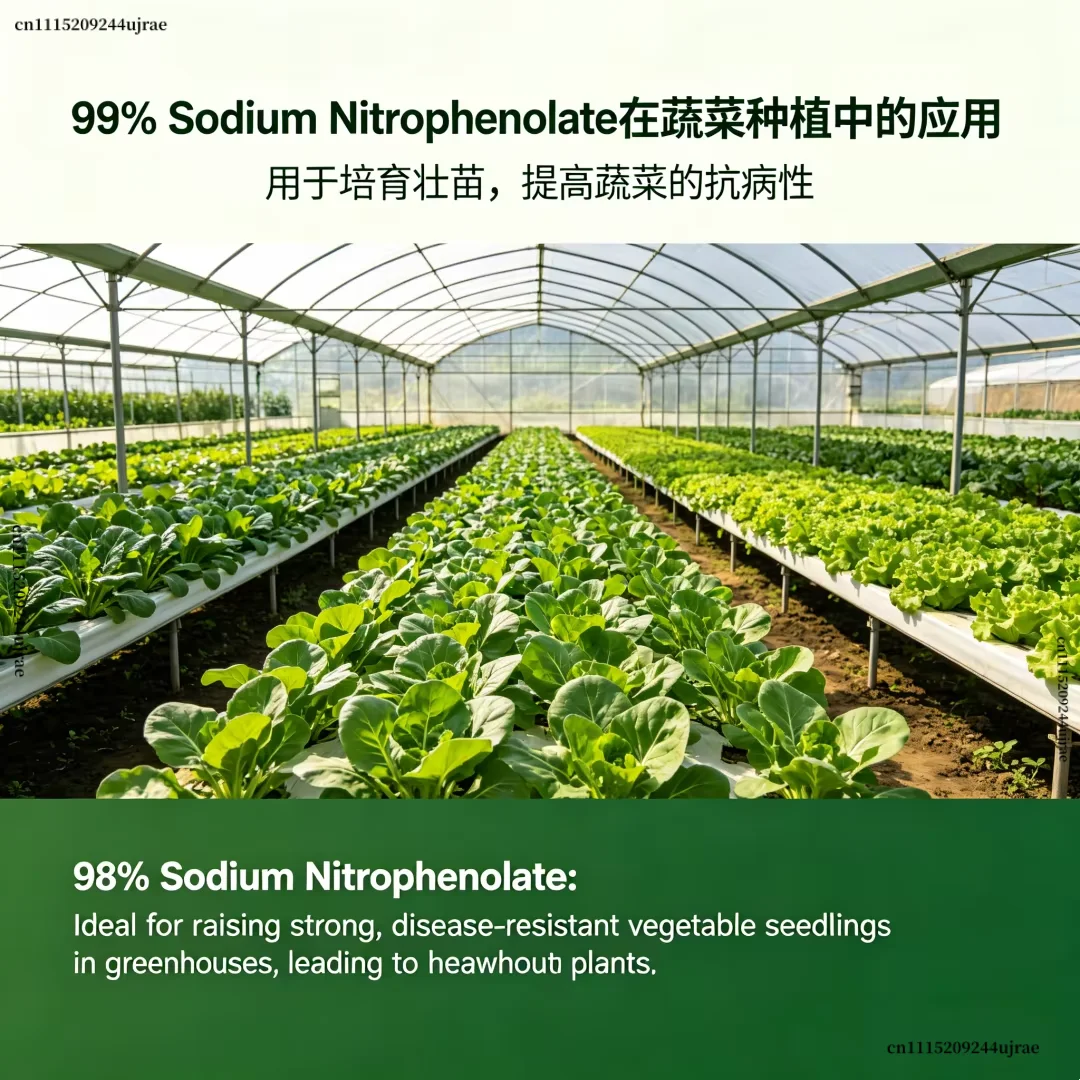 98% Sodium Nitrophenolate Foliar Fertilizer, Growth Regulator for Potted Ornamental Flowers, Promote Flowering & Strong Growth