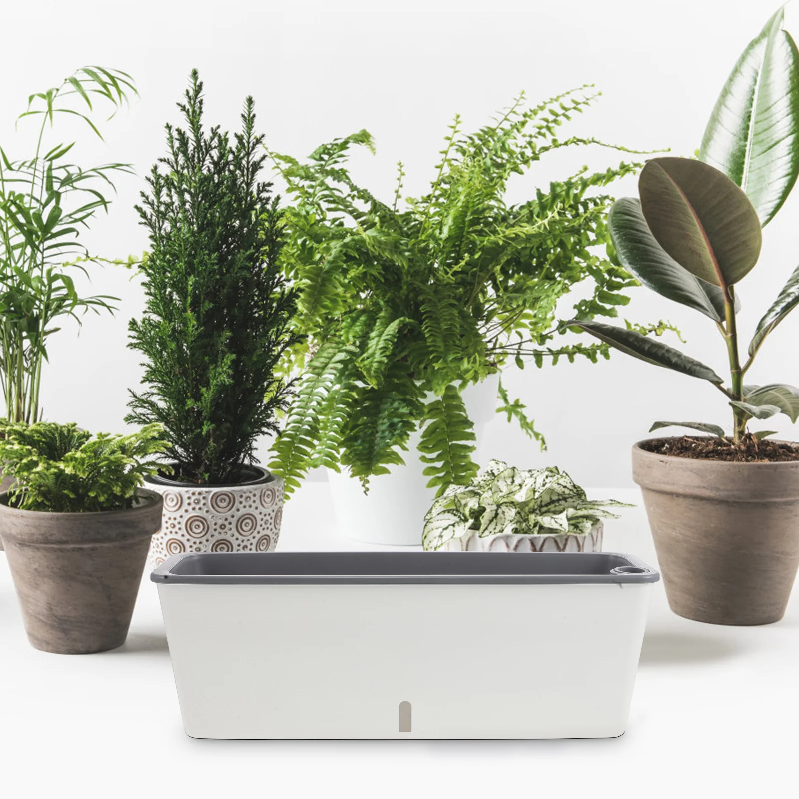 صندوق زراعة بلاستيكي مستطيل نافذة اناء للزهور للشرفة عتبة النافذة البستنة زراعة الخضار عشب زهرة النباتات