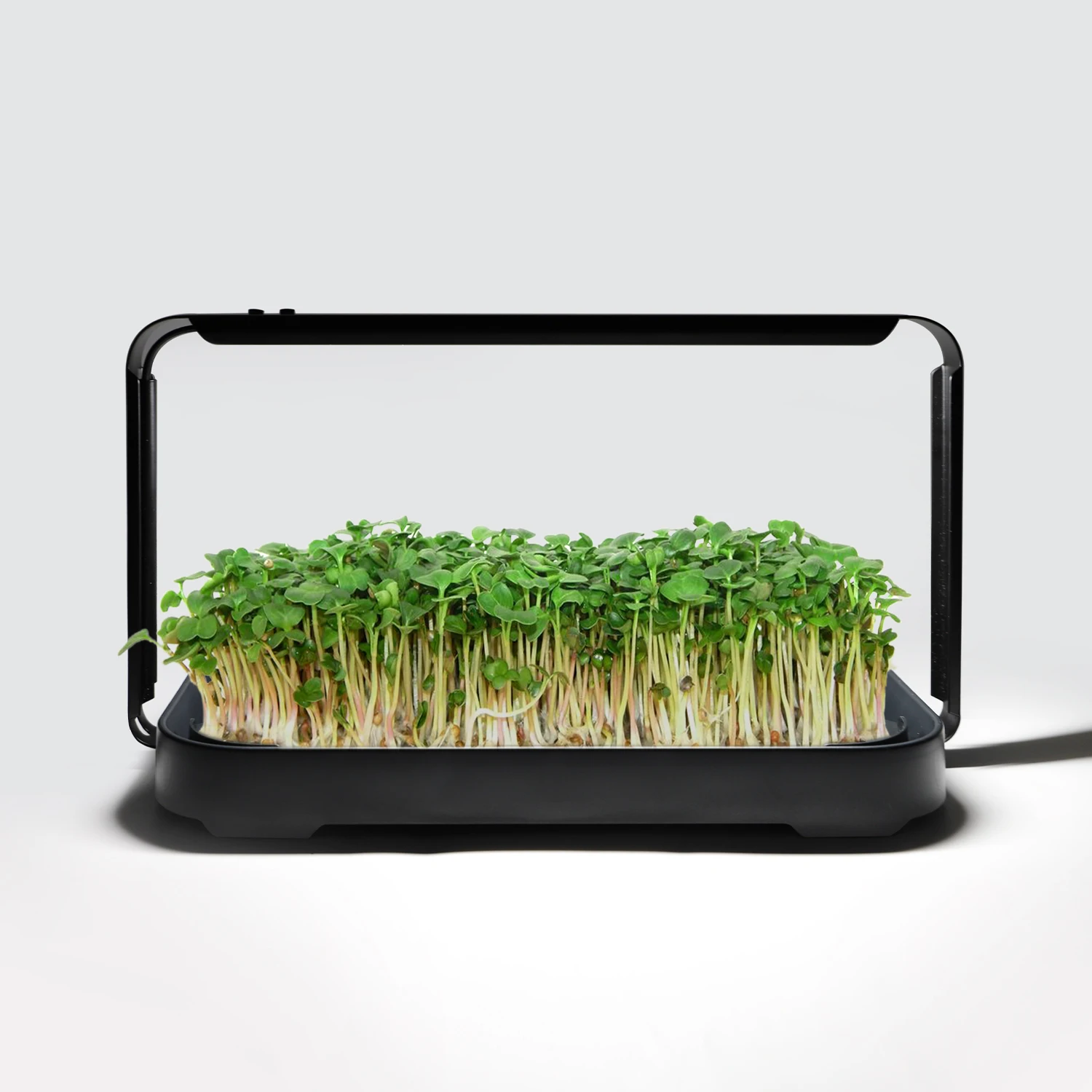 Home Indoor Hydroponic Seedling Starter Propagation Kit Smart Countertop Microgreen Growing System with LED Light