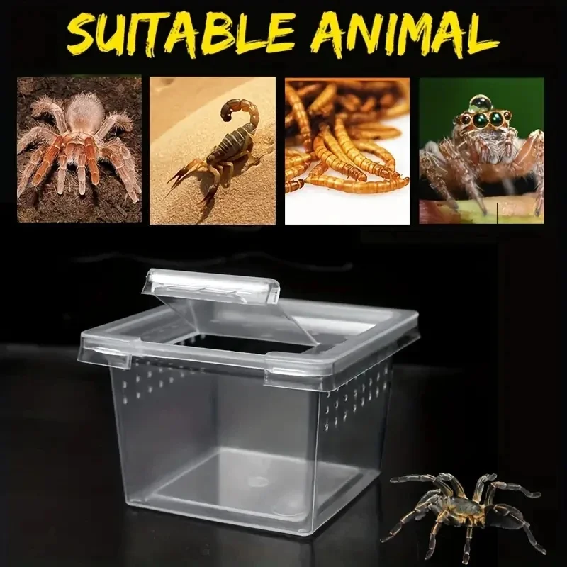 Transparent  Portable Reptile Insect Breeding Box Small Pet Observation Container Best Seller Spider Lizard Keeping Container