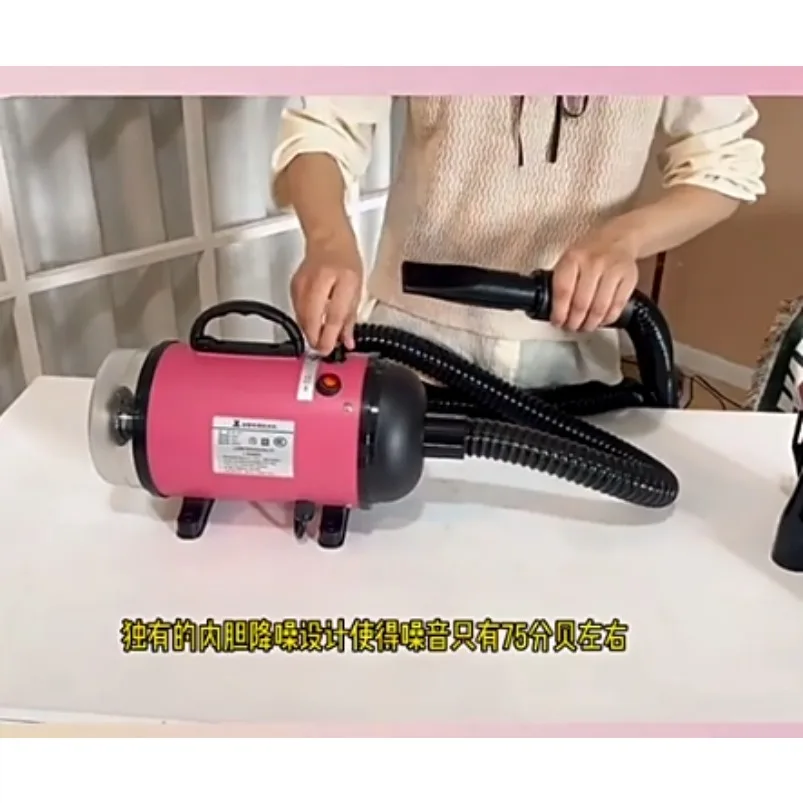 Pet water dryer blowing and suction integrated high-power bath hair blowing artifact