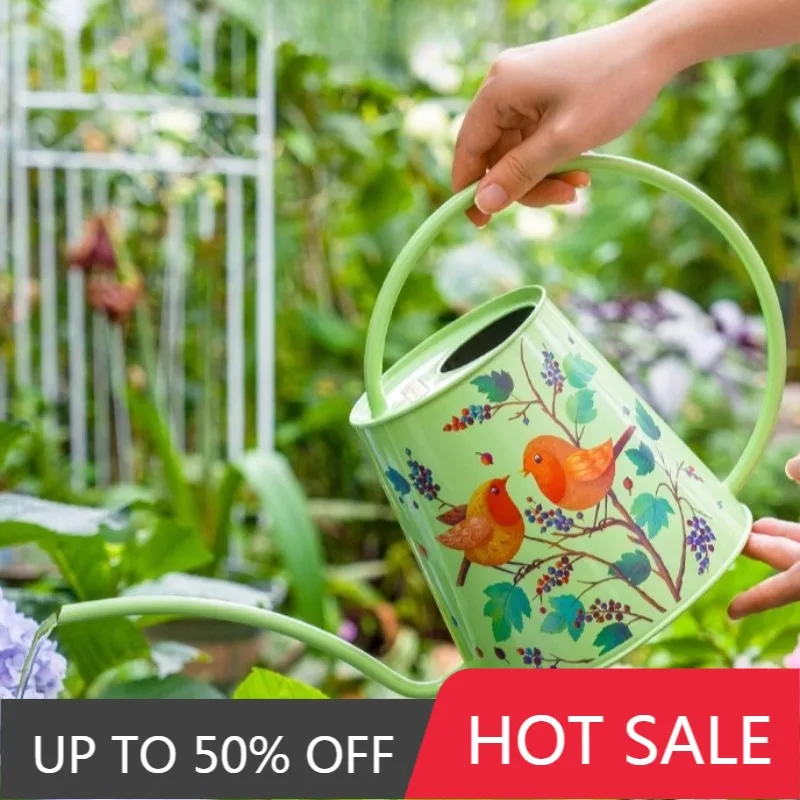 Creative Stainless Steel Long Spout Water Cans Simple Indoor Plant Watering Cans Cartoon Painting Pattern Art Garden Supplies