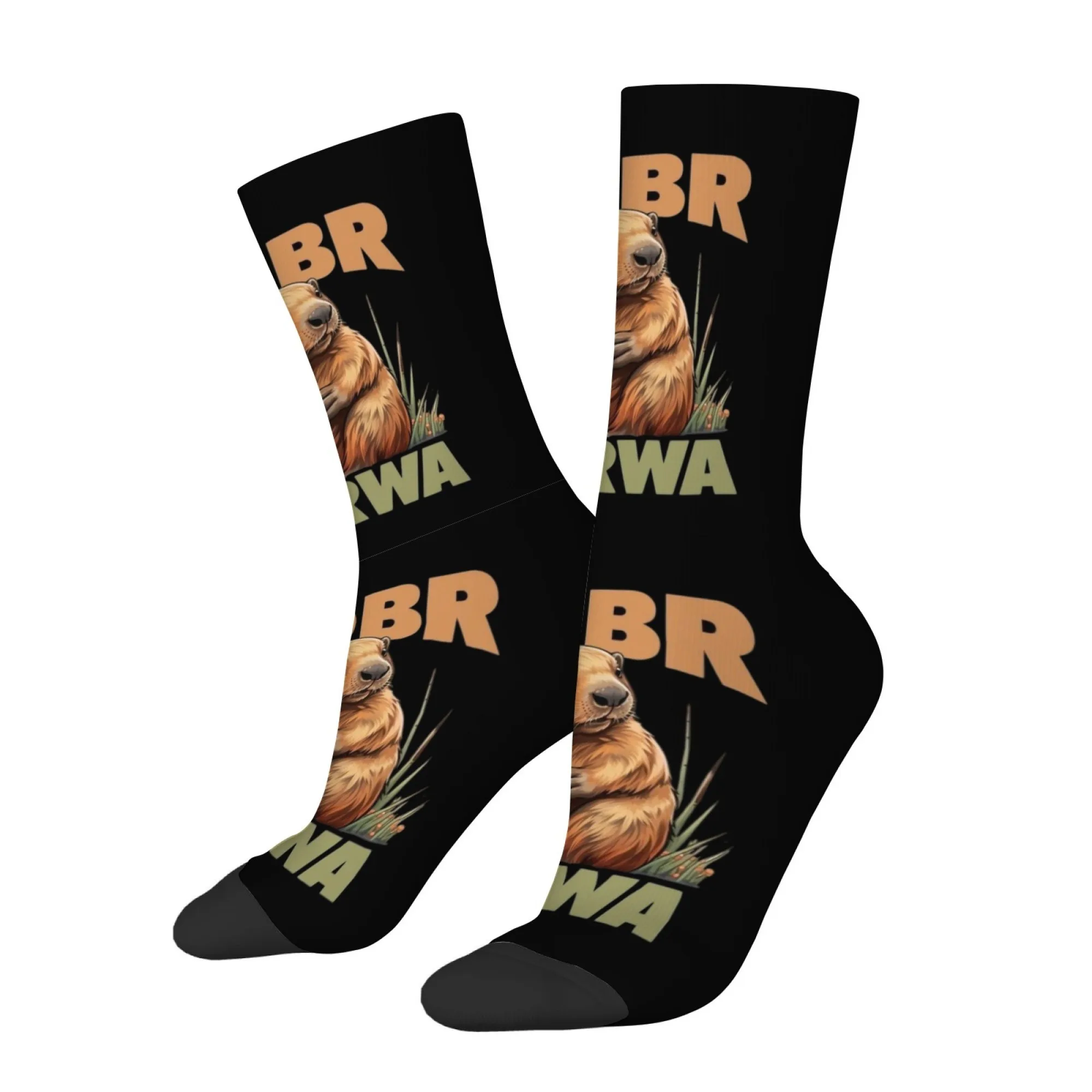 Internet-famous Polish Beaver Print Men's Mid-calf Socks Beaver Image 