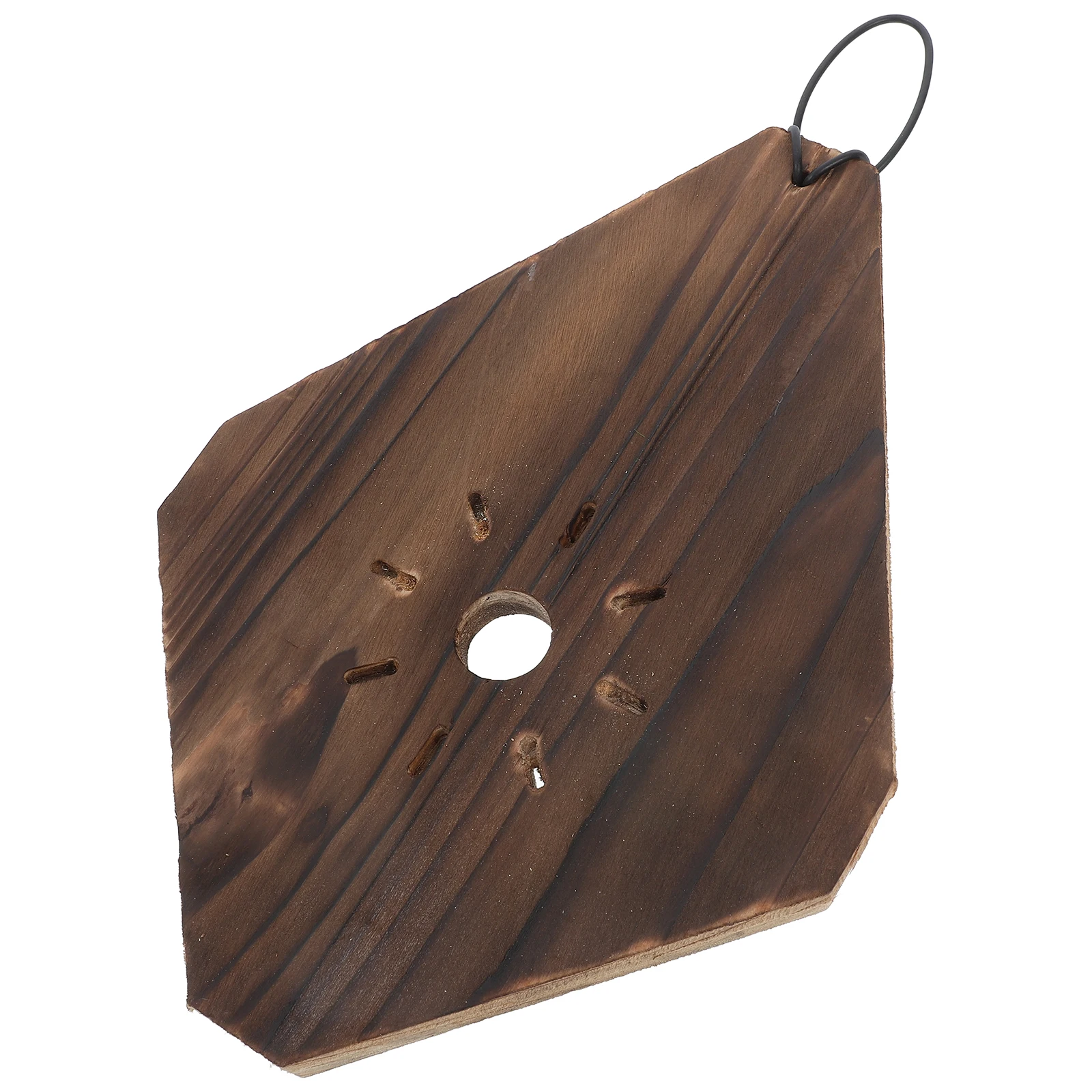

Staghorn Fern Hanging Board Carbonized Wood Planter Vertical Garden Wall Mount Succulents Orchids Staghorn Fern