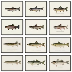 Vintage Bass Fish Trout Fly Fishing Posters Prints Canvas Painting Fisherman Retro Wall Art Picture for Living Room Home Decor