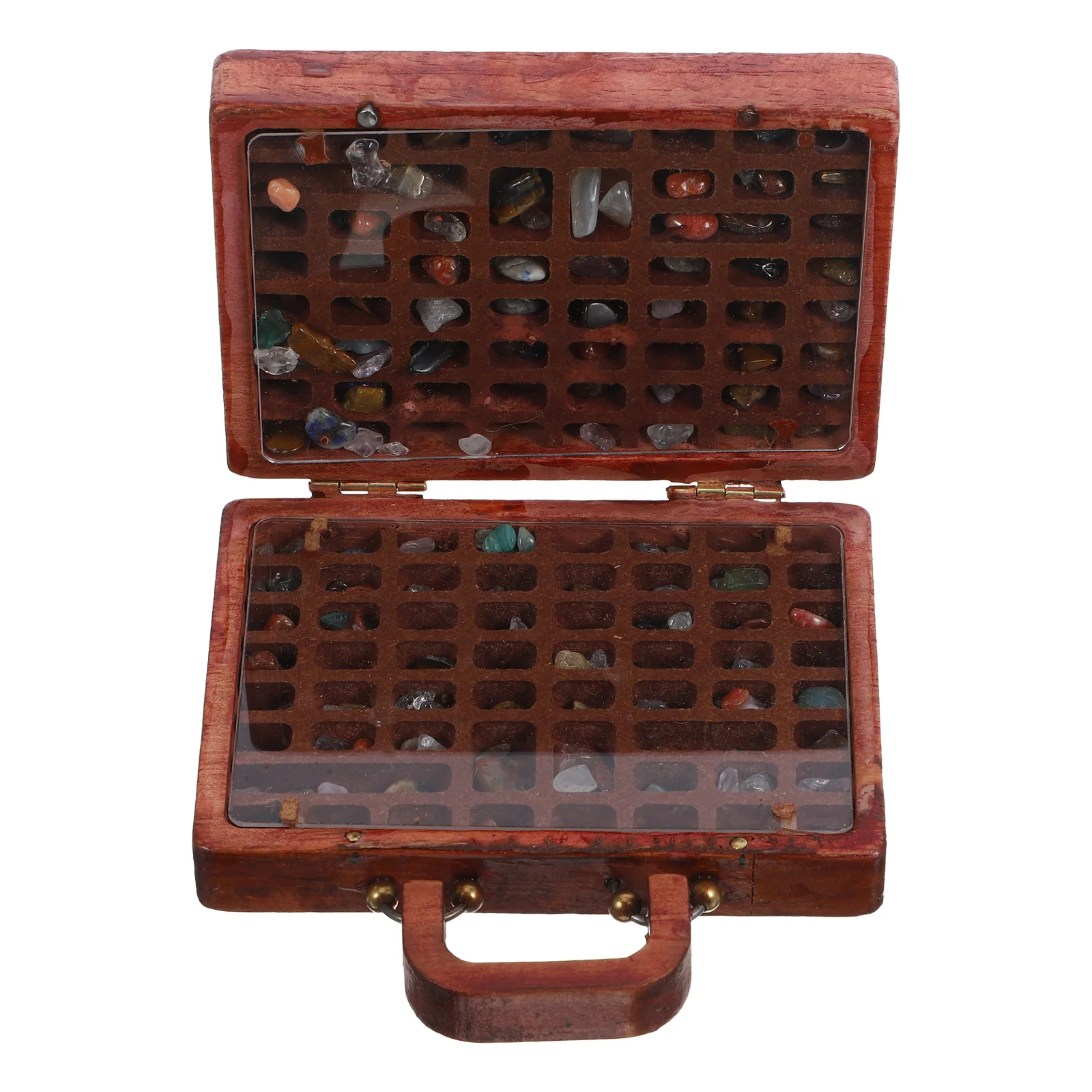 Wooden Stone Collection Box Rock Organizer Compartment Display Case for Storing and Displaying Crystals Minerals Collectibles