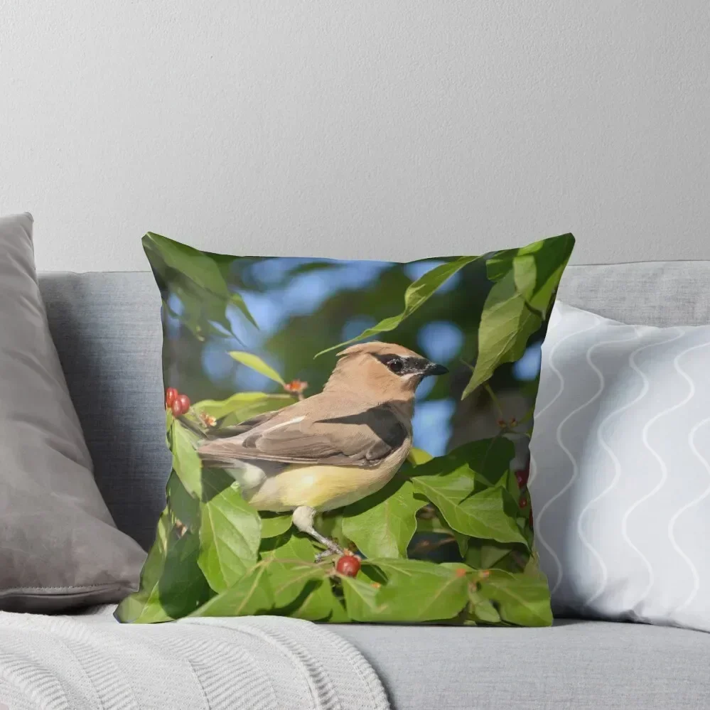 

Gorgeous Cedar Waxwing Throw Pillow Cushion Cover Luxury Cushions pillow