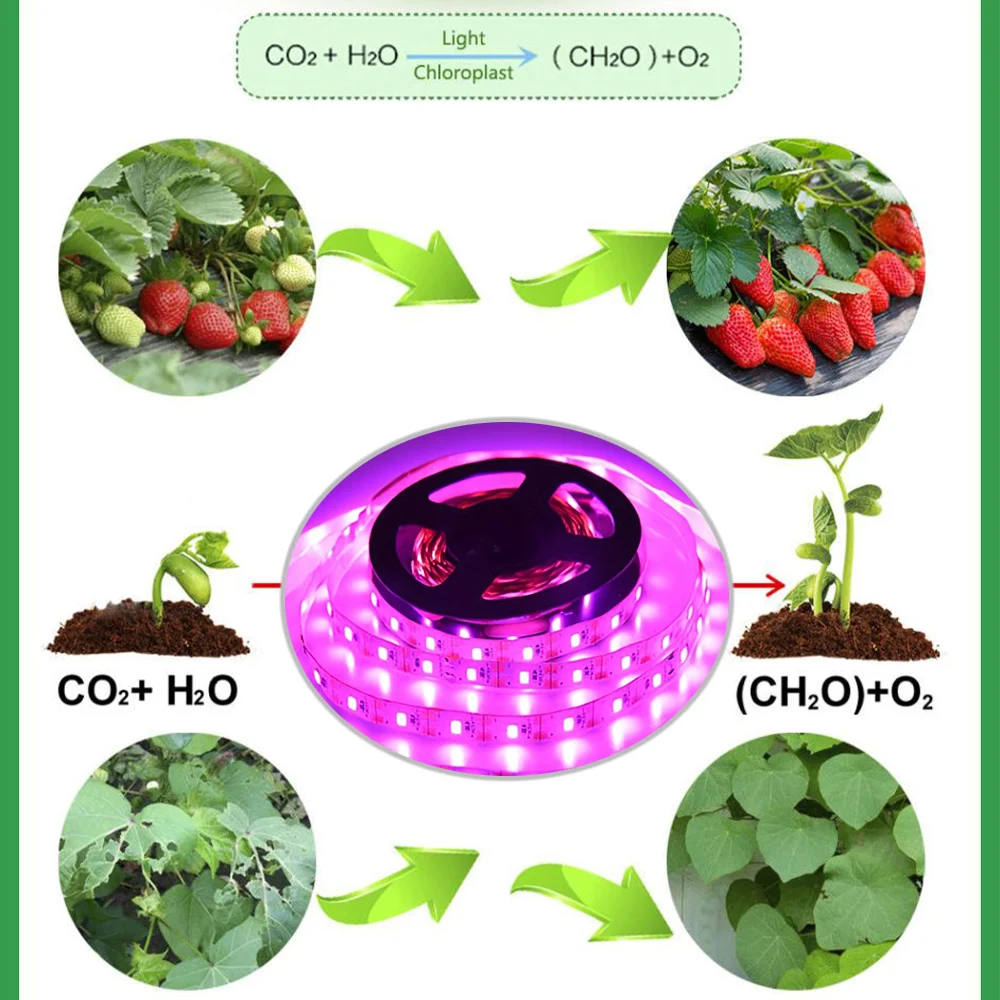1 LED Plant Strip - Battery Pack Powered (Batteries Not Included) For Indoor Plants, Succulents and Greenhouse Horticulture
