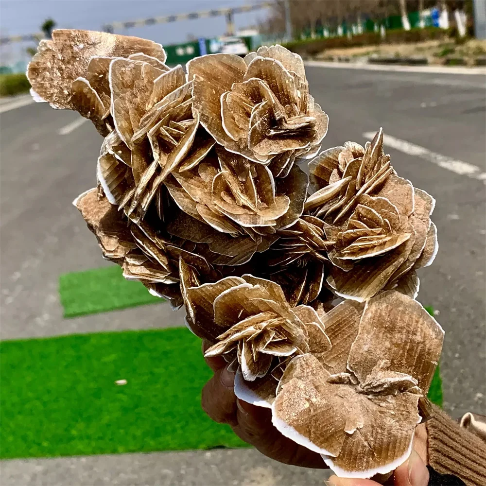 Natural African Selenite Desert Rose Crystal Cluster Mineral Healing, Energy Gemstone, Room And Office Decoration, Gift