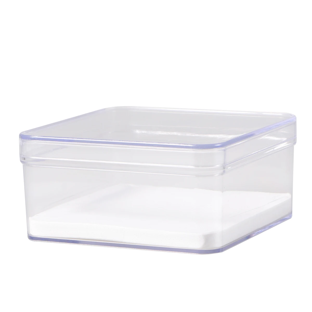 

Specimen Box Transparent Display Case 210X150X50 With Lid For Insect Plant Storage Multifunctional Box Kit Tool Part Container