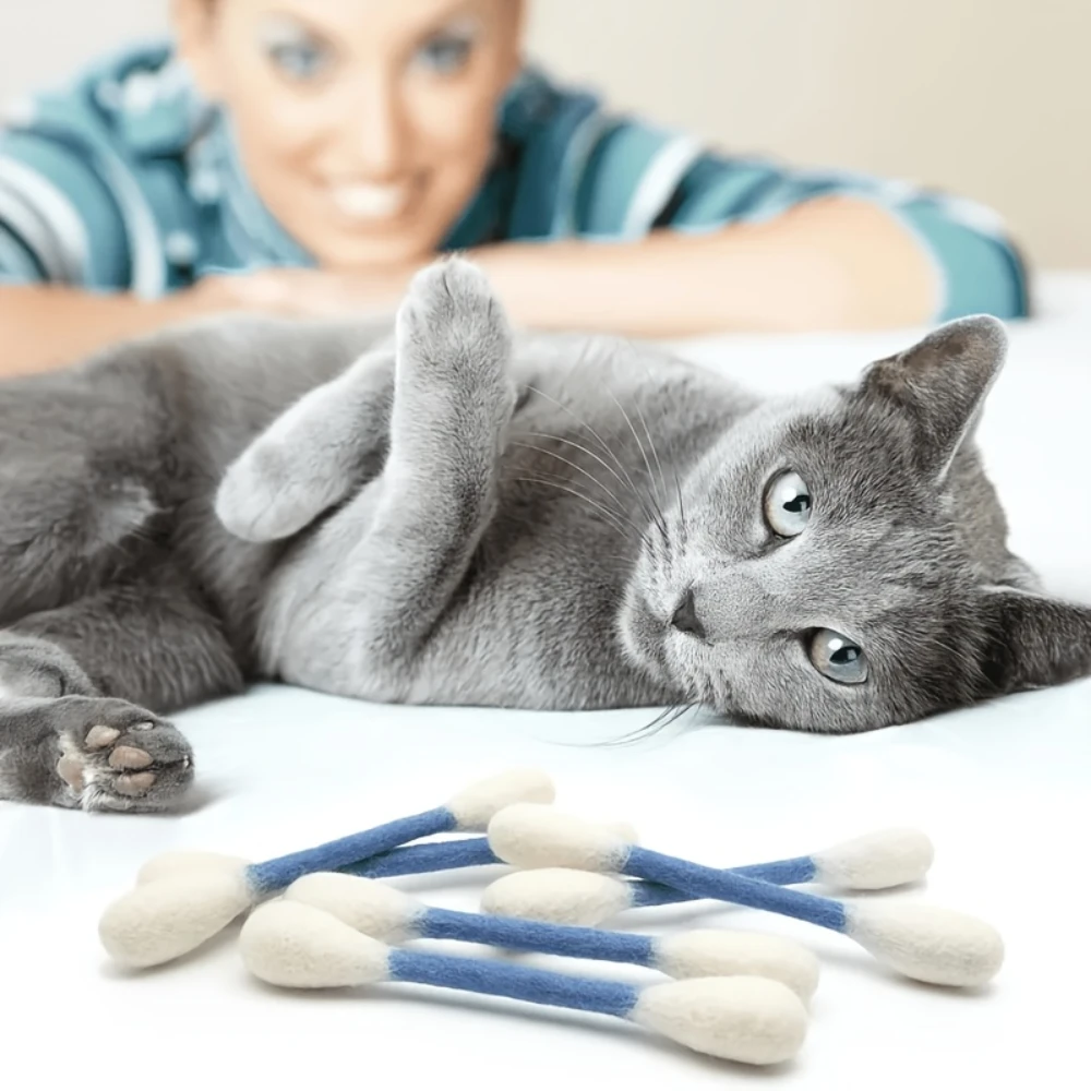 2Pcs Large Cat Wand Toys, Interactive Teaser Sticks for Boredom Relief, Durable Chew-Resistant, Random Color, Hot Sale