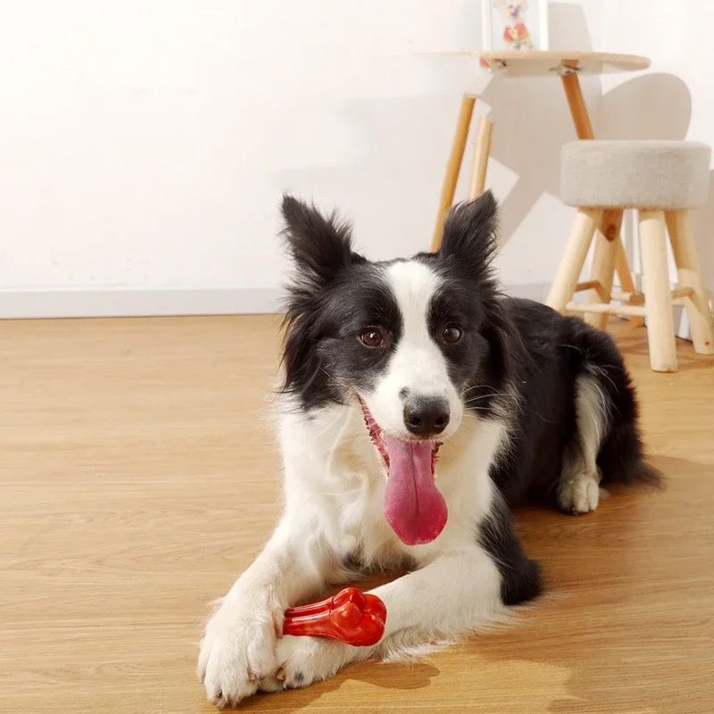 ChFukbone-Broyeur de dents de qualité alimentaire pour chien, caoutchouc naturel, nettoyage des dents en nylon, jouet pour animaux de compagnie