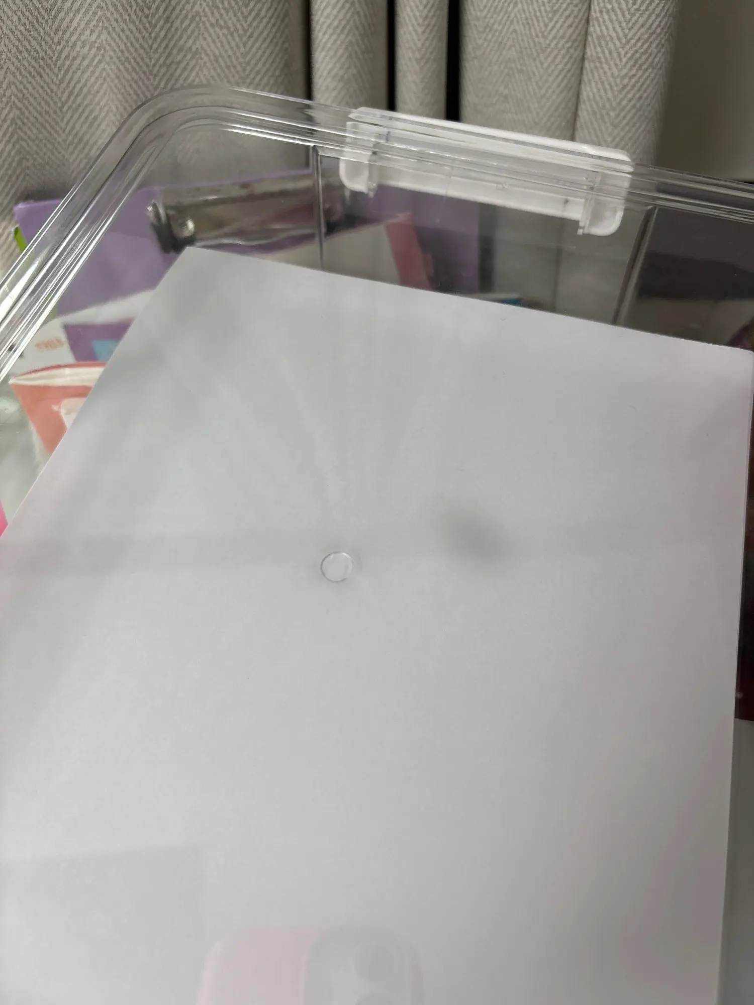 실물 포토 리뷰