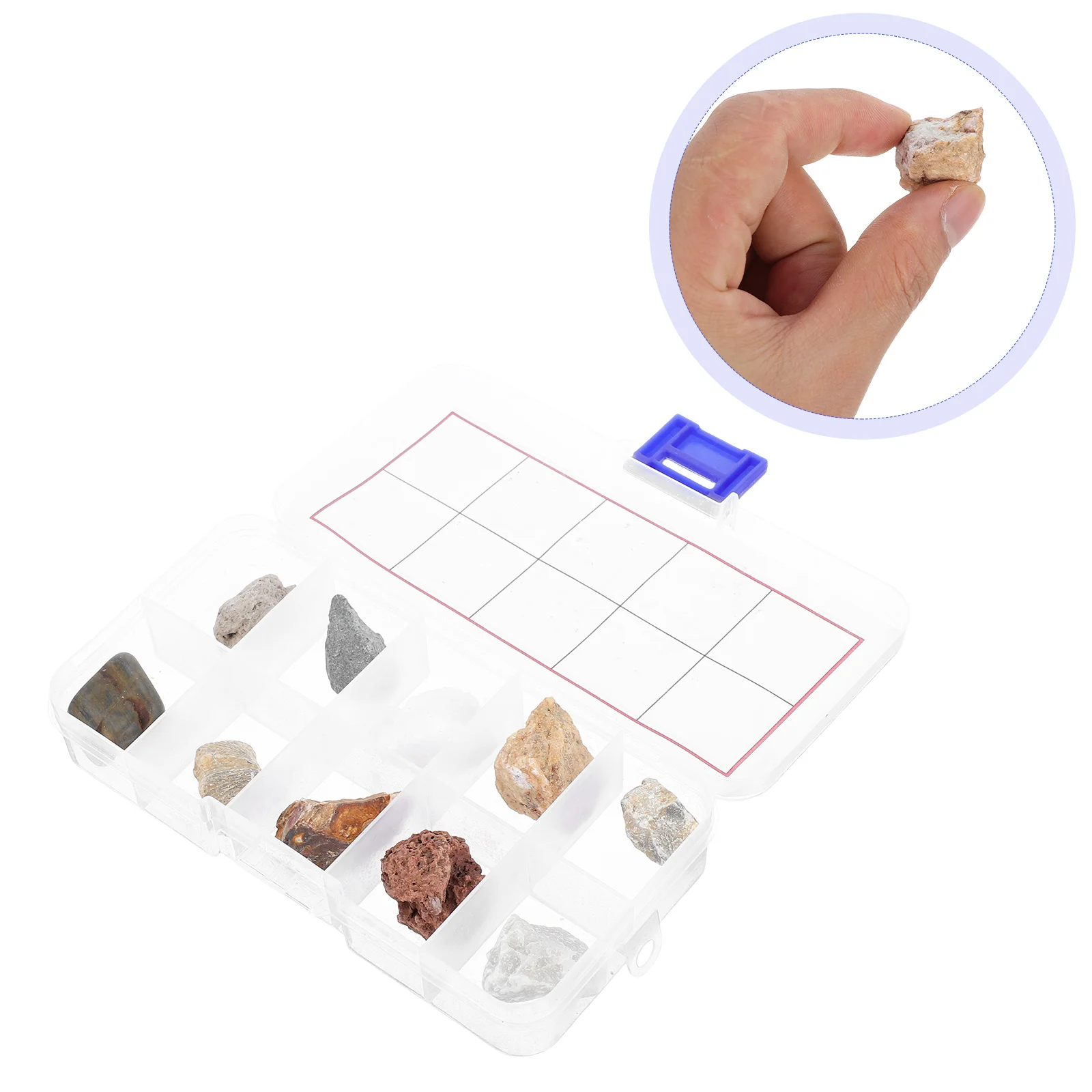 

Rock Specimen Mineral for Geology Classroom Ore Large Crystals Specimens Kit Teaching Student Use