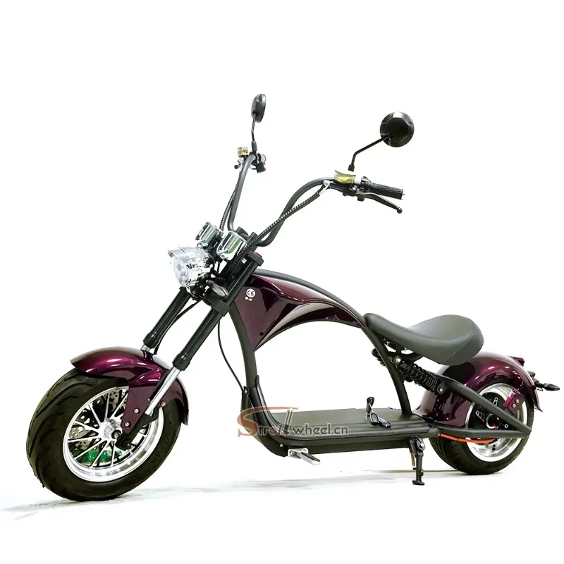 Citycoco 2000W Electric Motorcycle for Adults Cheap Electric Motorcycles for Adults Electric Motorcycle for Adults High Speed