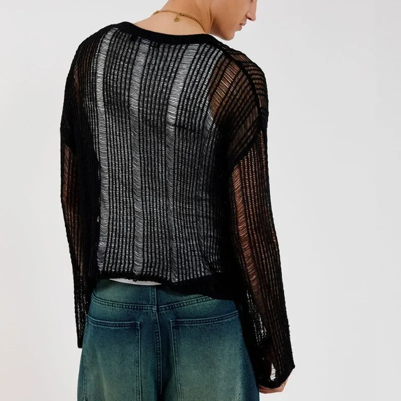 Autumn Elastic Hollow Slightly Transparent Sweater Men's Long Sleeved Loose and Versatile Knitted Sweater