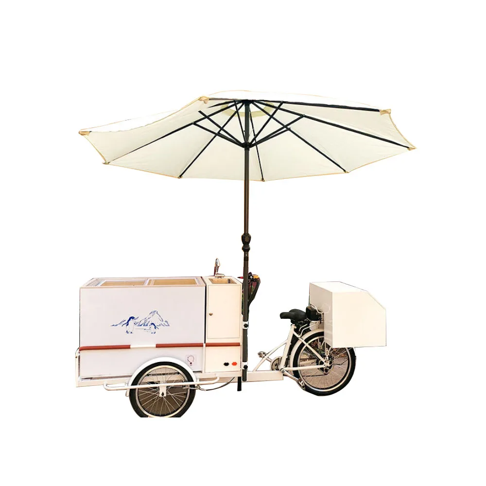 

Adult Freezer Tricycle Commercial Ice Cream Veinding Cart Electric Cargo Bike with CE