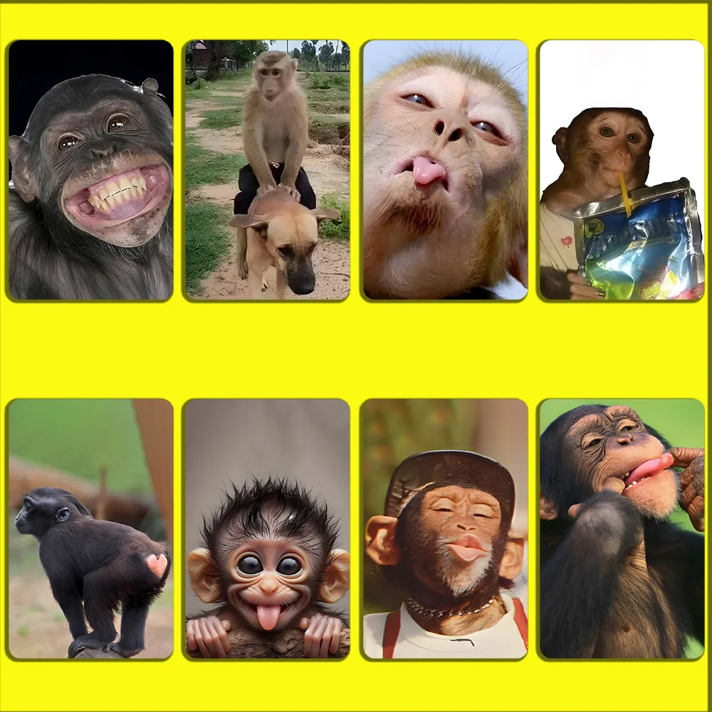 Monkey Sipping Caprisun Meme Stickers For Debit Bank Credit Cards Metro Bus Pass Sticker Decoration Cover 4PCS Card Skin