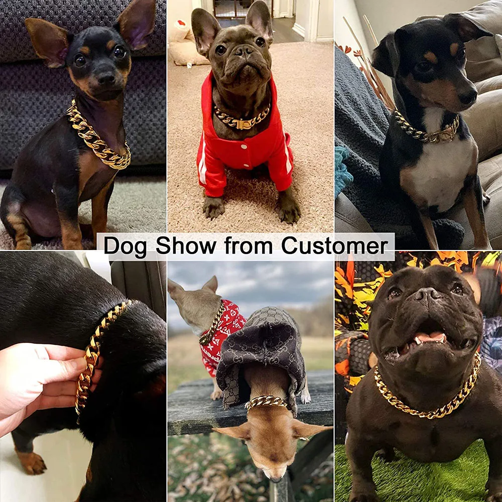 Gold Cuban Link Dog Collar 6
