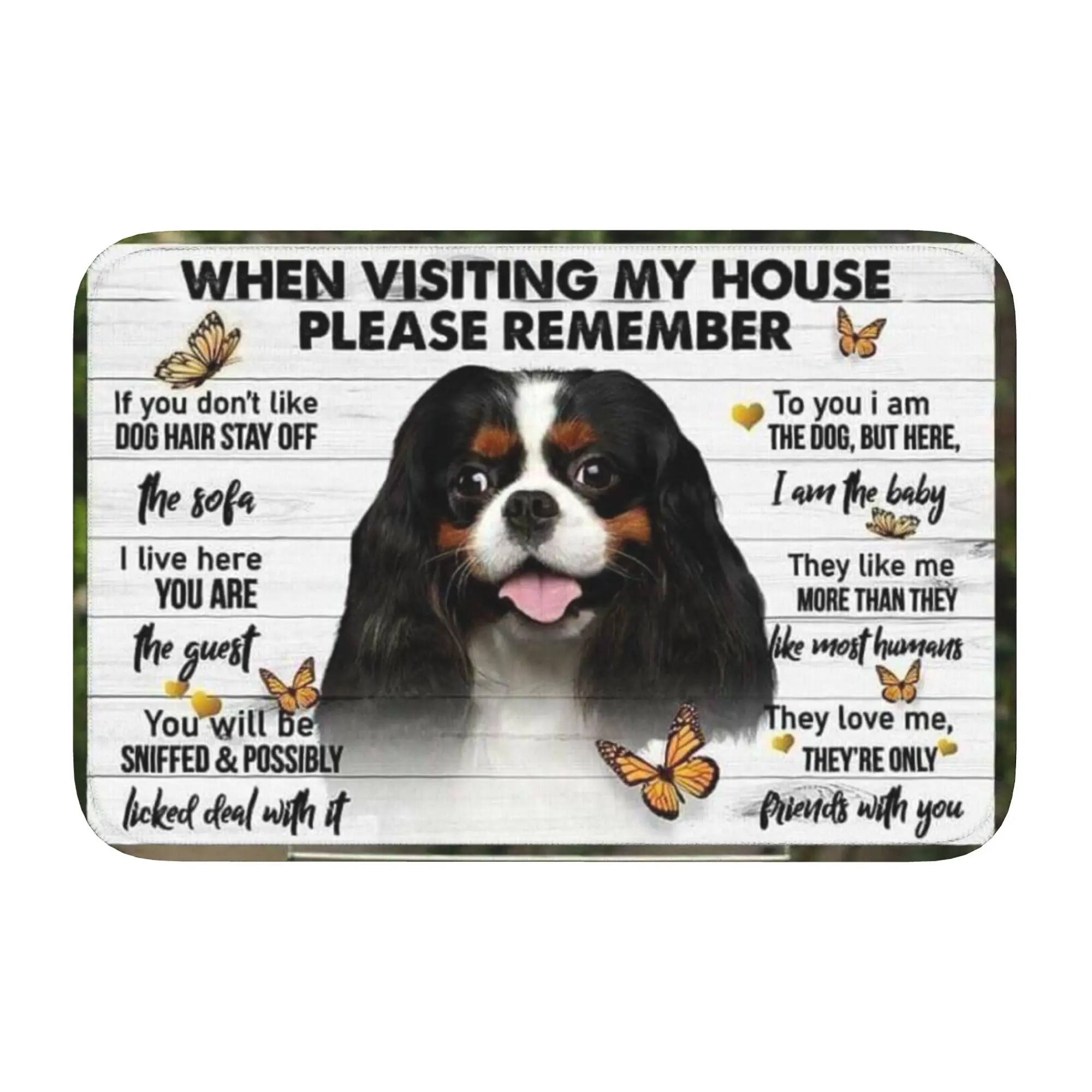Cavalier King Charles Spaniel Front Floor Door Entrance Welcome Mat Outdoor  Kitchen Bathroom Doormat Toilet Carpet Rug Footpad