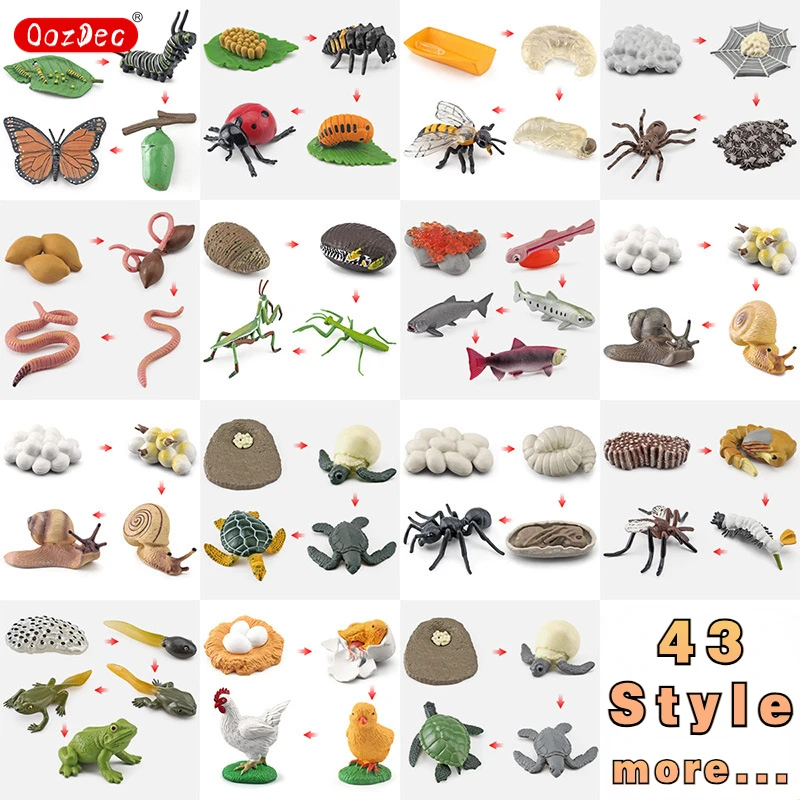 OozDec-juguetes Montessori de aprendizaje y educación del ciclo de vida, figuras de animales de 43 estilos de rana, mariposa, pollo, Mantis, edad 3 +