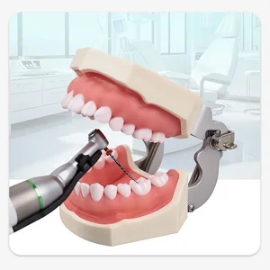 6 PCS/Box Dental Blue Rotary Files With Heat Activation Endodontic Files Root Channel 21/25mm SX-F3 Dental Tools 10 Main Rotary Lima Sales - №3