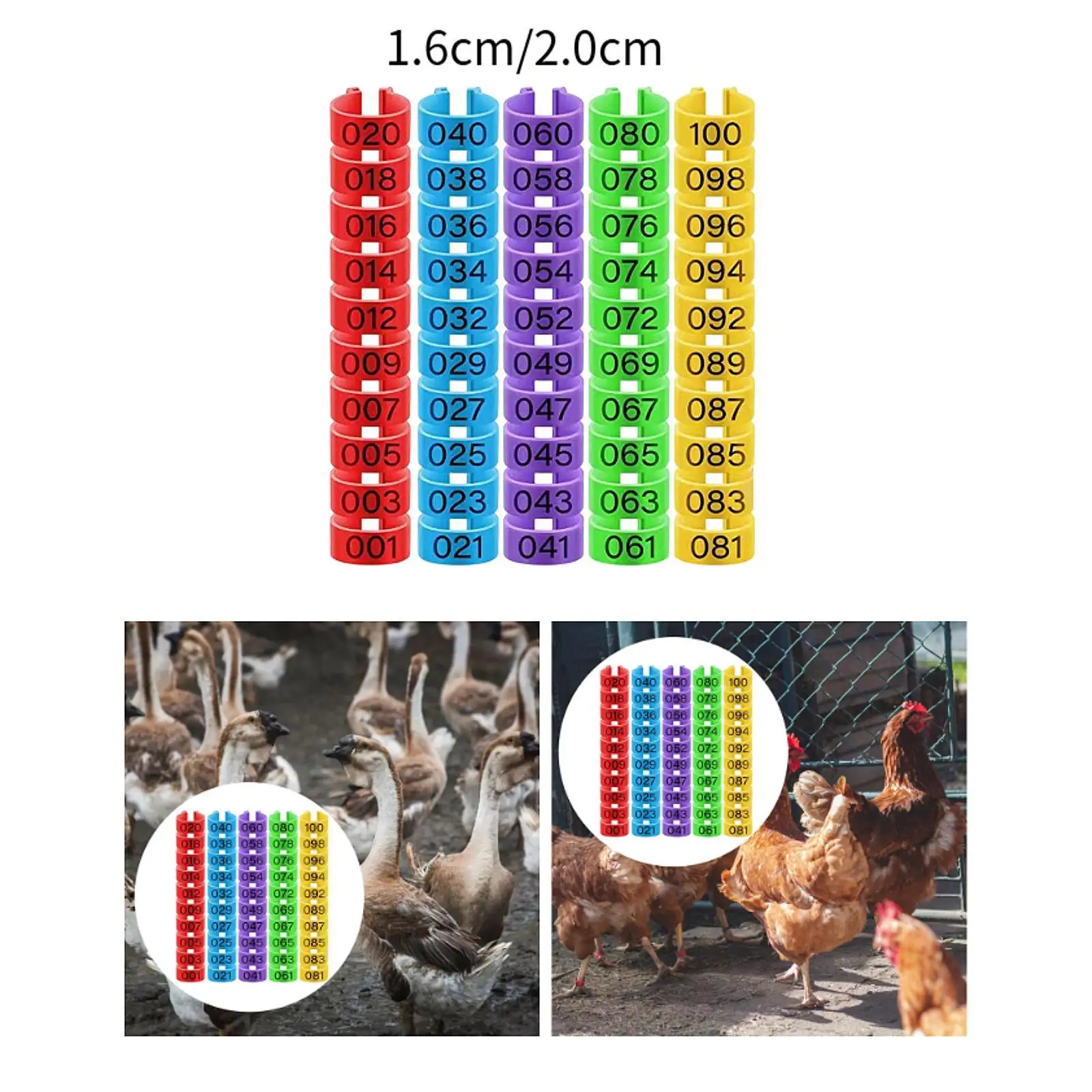 100Pcs Chicken Identification Bands Chicken Leg Rings for Bantam Pigeon