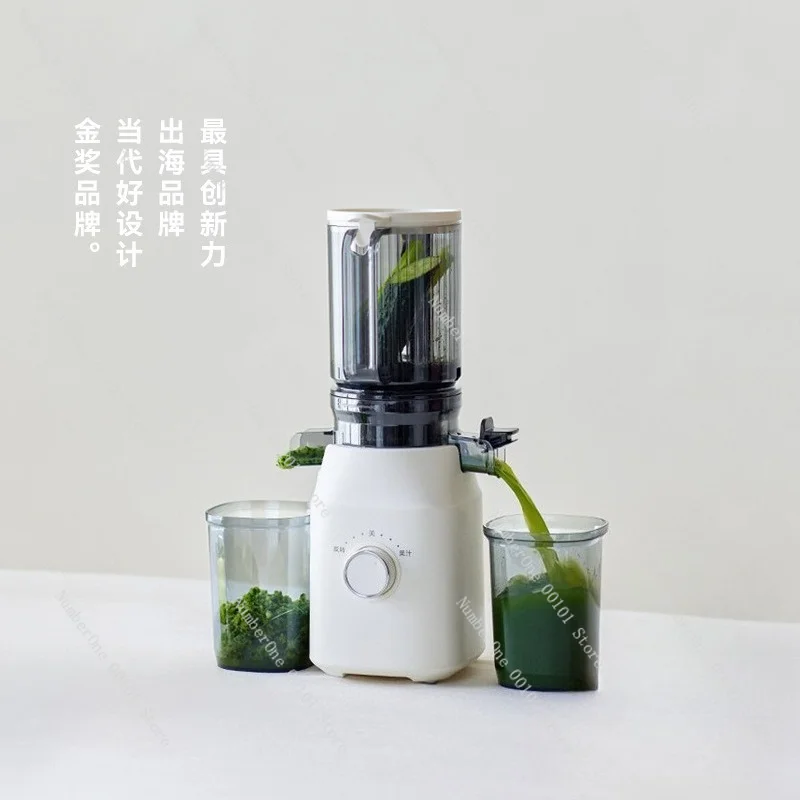 Home Slow Masticating Juicer Large Feed Chute Auto Pulp Out Juice Extractor Cold Press Separator BPA Free Easy Clean for Daily