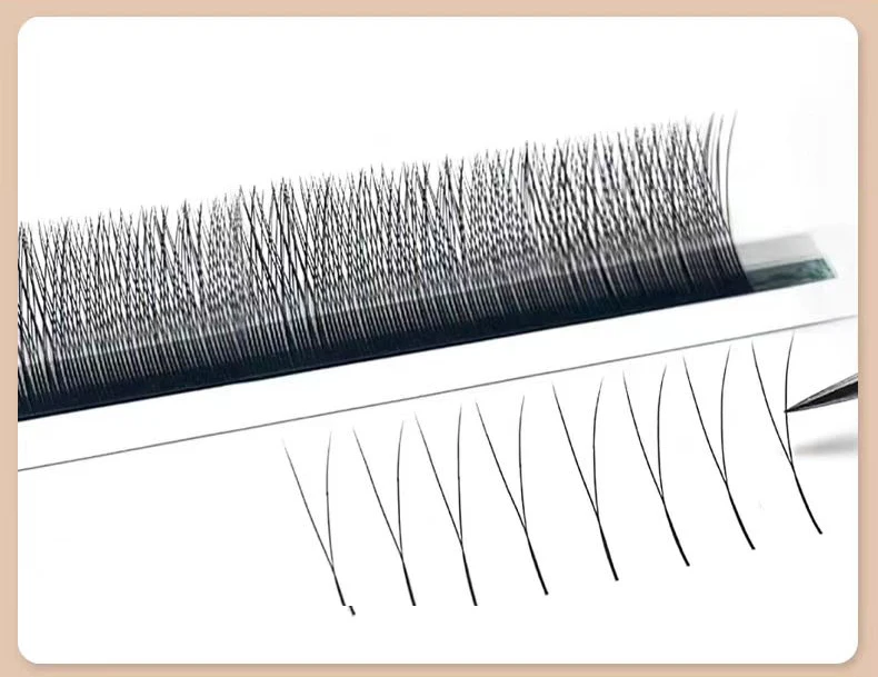 MARIA 2D Y-Form Wimpern, Premium 2D-Wimpern, Weiche, Leichte, Natürliche Wimpernverlängerungen, Make-up-Zubehör, Netz-Wimpern – Detail 2