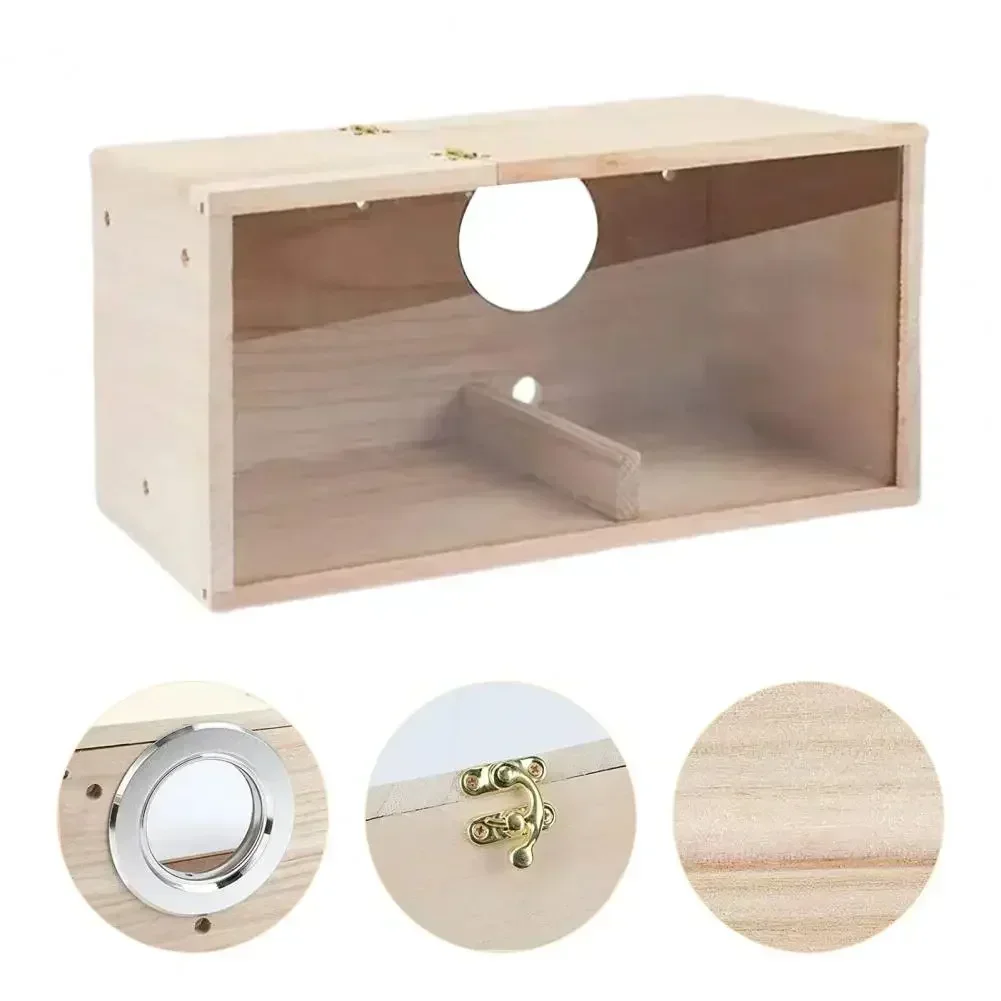 Transparentes Design, Sittich-Vogelhaus-Nest, leicht zu reinigen, kreatives Papageienhaus aus massivem Holz, glatte Kanten, Vogelzuchtbox – Detail 6