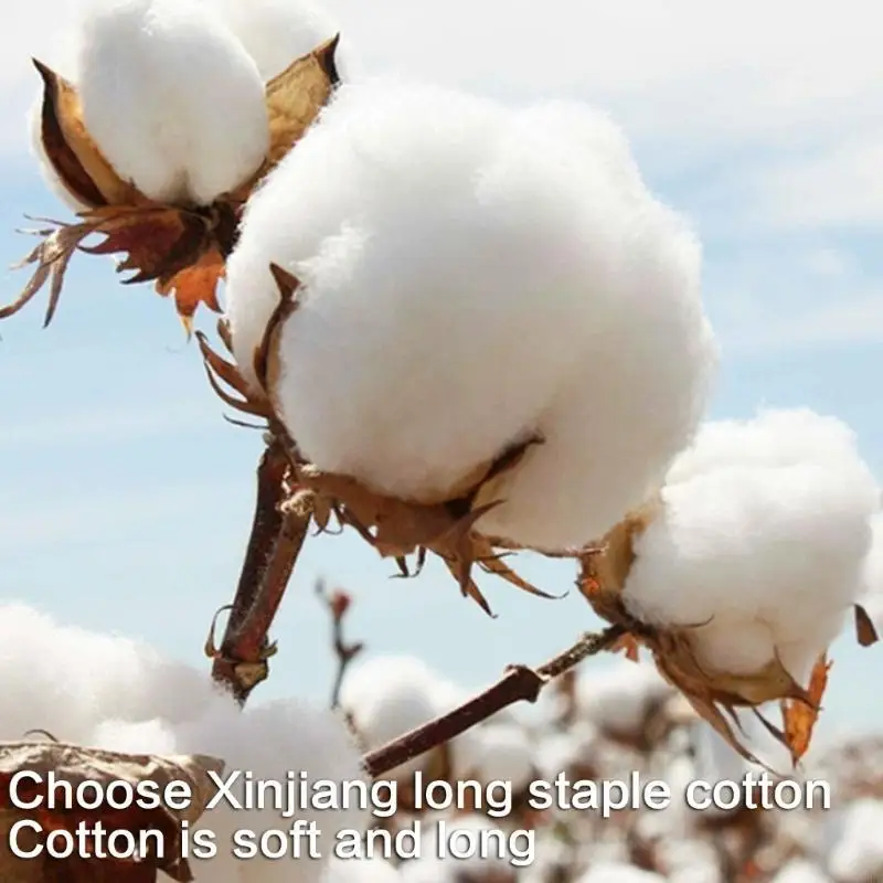 لباس ضيق أنيق للفتيات مع تنورة من الدانتيل المرفقة وحزام خصر قابل للتمدد من القطن الناعم للأطفال الرضع أساسي للعب