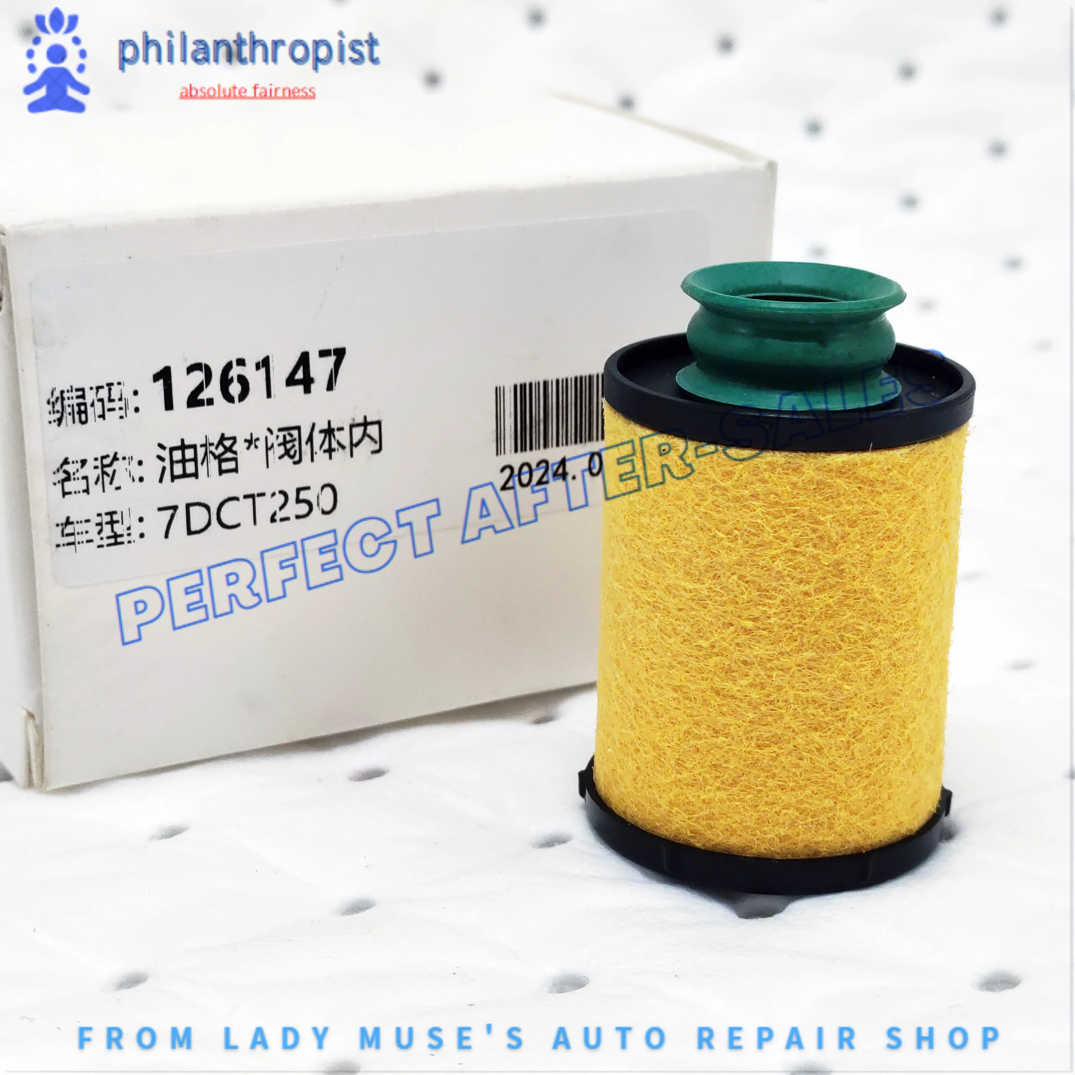 

Oil Circuit Board Filter 7DCT250 DSG Auto Trans 24254926 Body Element For Buick Envision MG