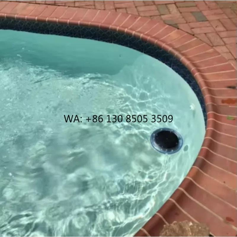 

Professional Technology Solar Ionizer Swimming Pool Salt Chlorinator Cleaner