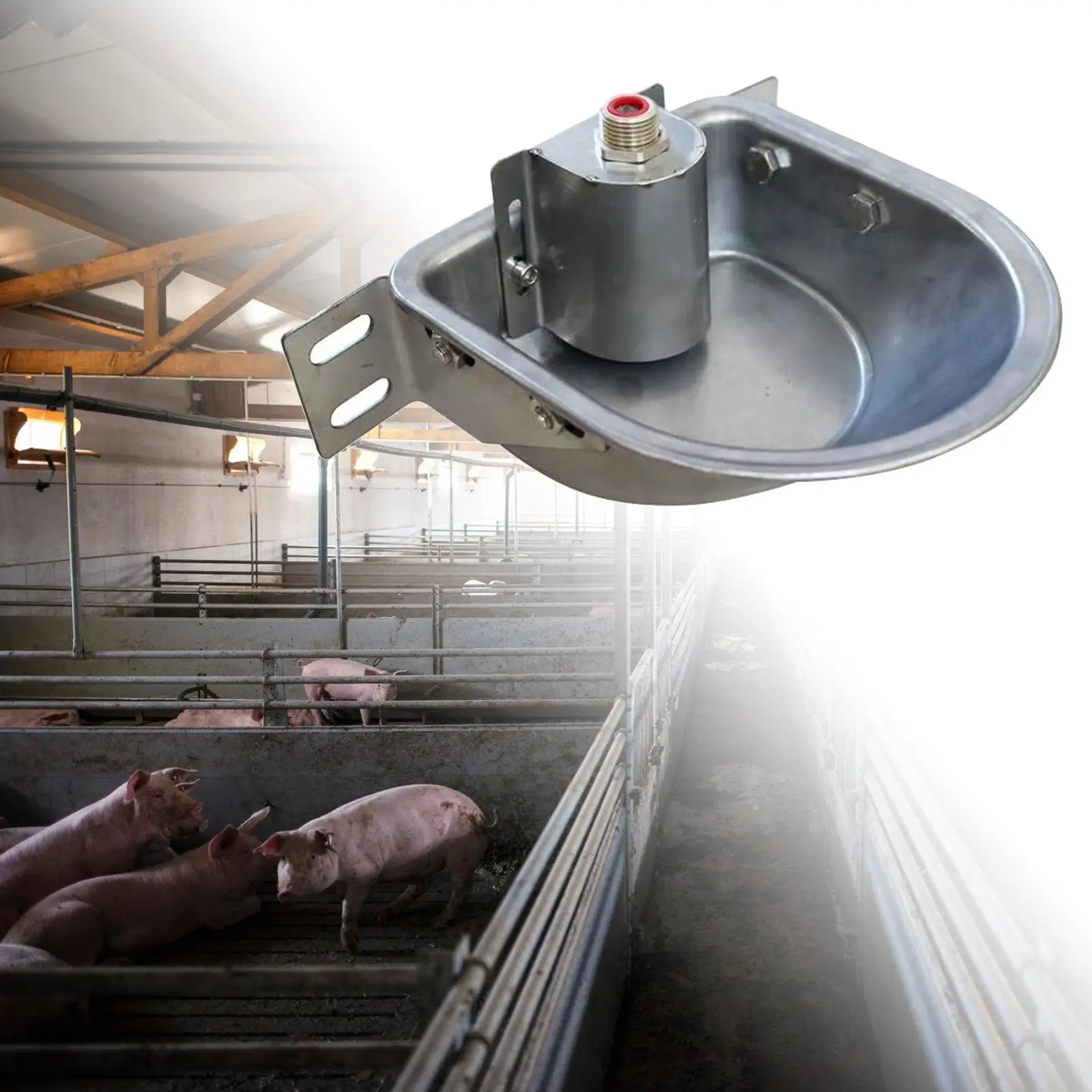 Rust Proof Stainless Steel Automatic Drinking Bowl Livestock Waterer Farm Animal Fountain for Dog Goat Pig Feeding