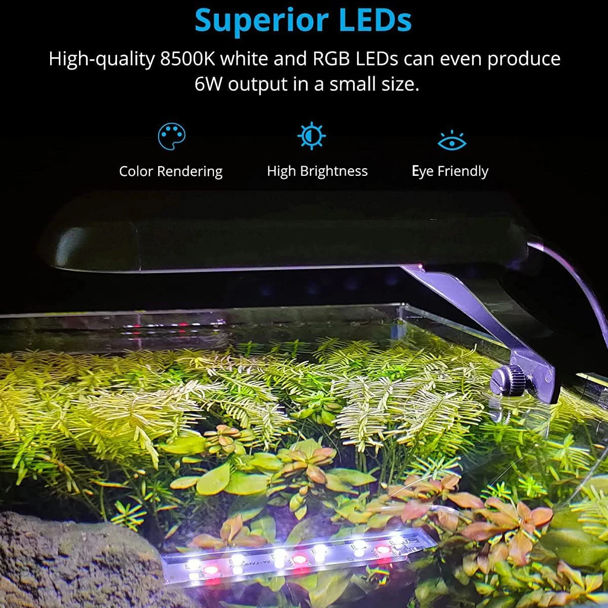 Lumière de croissance des plantes à LED pour aquarium, réglage chronométré de l'éclairage, haute luminosité, longévité et économie d'énergie, fournitures pour animaux de compagnie