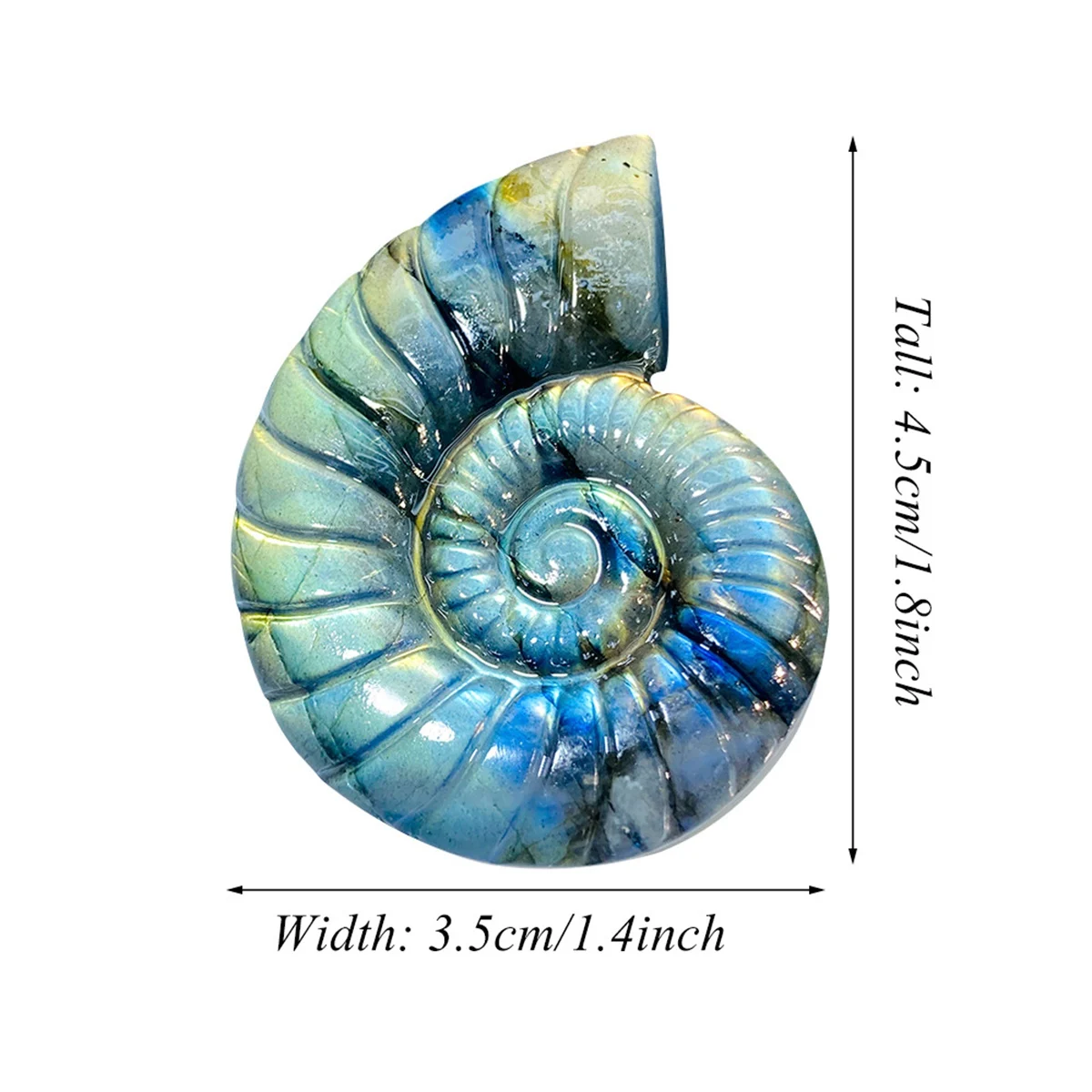 

Ashmita 3PCS 45mm Natural Labradorite Ammonite Carving Flashy Crystal Shell Figurine Reiki Healing Stone Pocket Decor